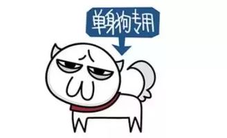  天了噜,今晚1200就是剁手day