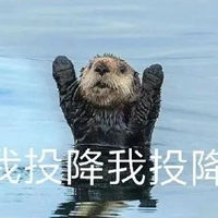  土拨鼠啊表情包