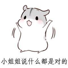  应付女朋友的万能表情包别说了,我爱你,什么都没你重要