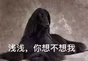 夜华表情包mind
