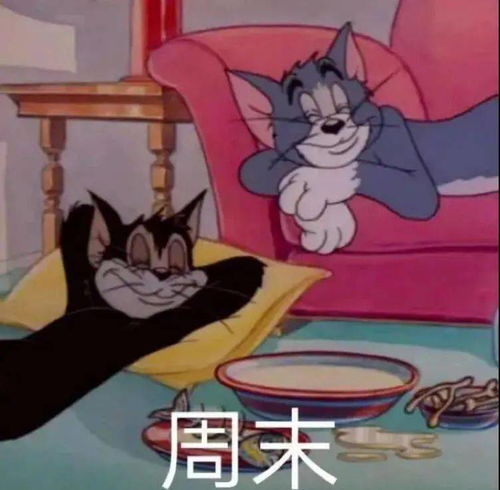  沙雕聊天表情包i宝贝我来啦