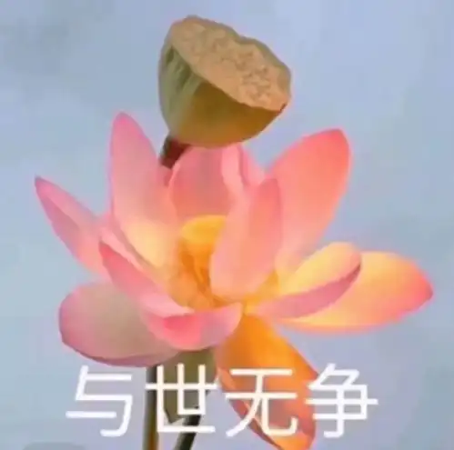 爸妈能有什么坏心思呢 爸妈能有什么坏心思呢