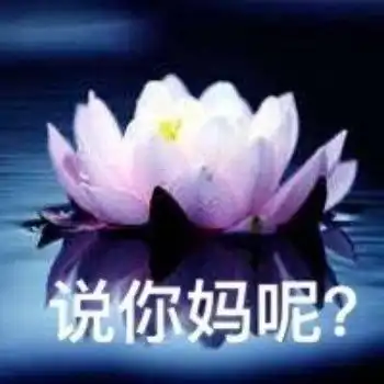 沙雕表情包好运莲莲 沙雕表情包好运莲莲