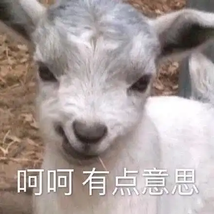 为爱鼓掌表情包海狗