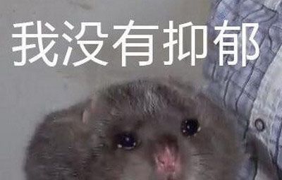  土味的华农兄弟火了,大家的审美也开始消费降级了