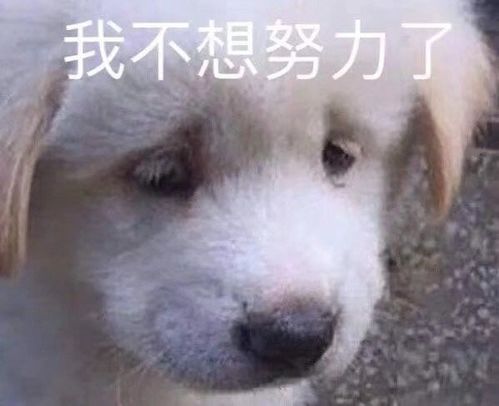 早表情包沙雕跳大神