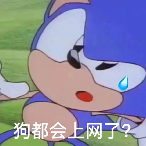  沙雕表情包来啦