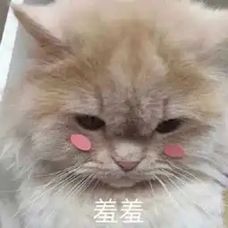 害羞捂脸的表情包我都不好意思了 害羞捂脸的表情包我都不好意思了