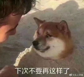 急急如律令