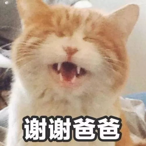呜呜呜呜的表情包可爱草