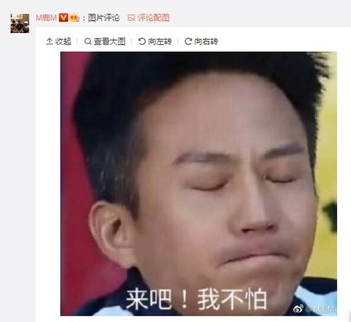  邓超宣布与鹿晗解除父子关系,鹿晗用表情包回应我不怕