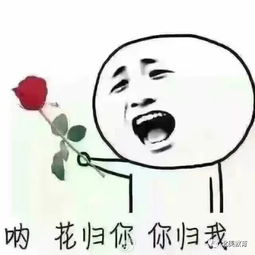  以博雅教育著称的美国文理学院到底有什么优势
