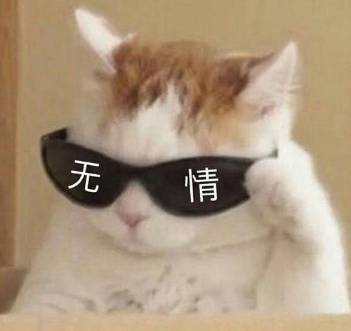 沙雕表情包配搞笑视频头