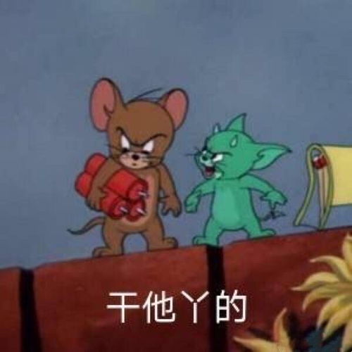 在干嘛表情包搞笑猫和老