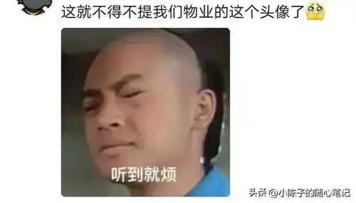 原来职场中头像真的很重要网友分享一个比一个有内涵 原来职场中头像真的很重要网友分享一个比一个有内涵