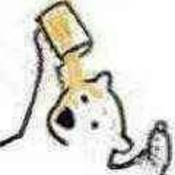 三衣畑的微博微博 三衣畑的微博微博