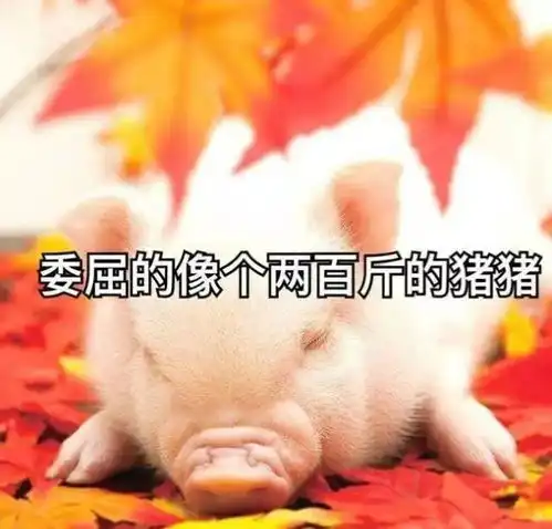 拼了据说这样收快递会更快一些 拼了据说这样收快递会更快一些