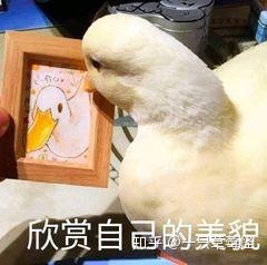  研究生家庭普通去哪留学好