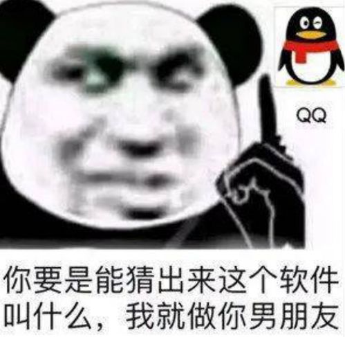  熊猫头表情包新的一天从cpdd开始