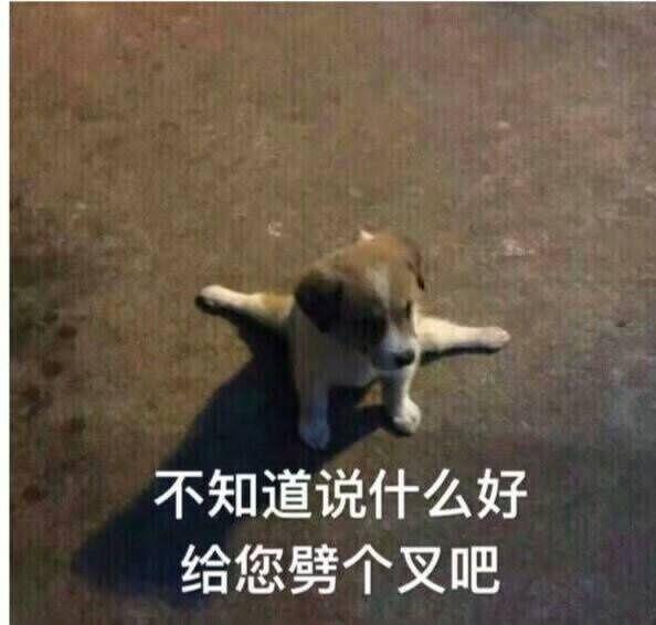 微信瓶子表情包啥意思内