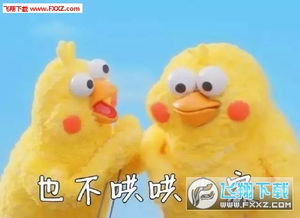  鹦鹉兄弟版捶你胸口表情包无水印版下载捶你胸口表情包鹦鹉兄弟版下载飞翔下载