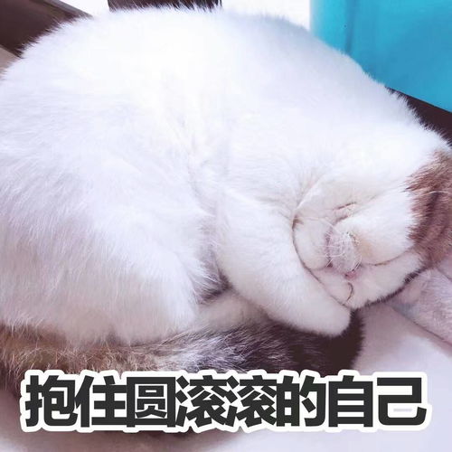  笑话十条真正的女人一生只会承认犯一次错