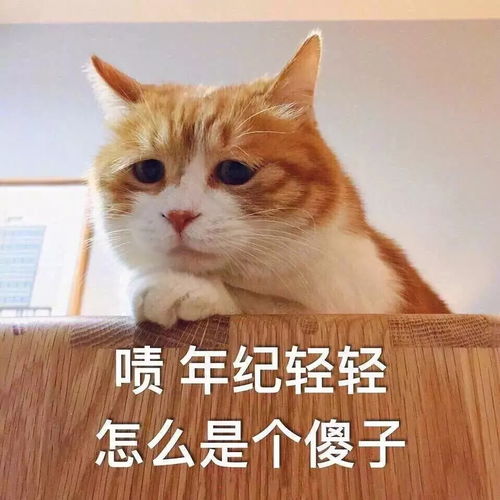  表情包年纪轻轻怎么是个傻子