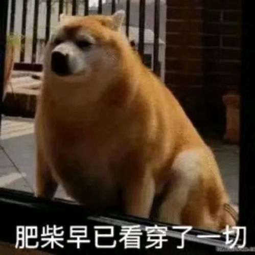 早表情包沙雕早安