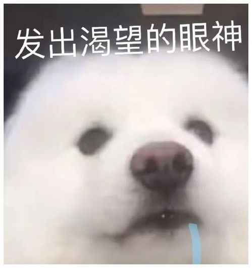 表情包丨老娘真可爱嘤嘤嘤嘤 表情包丨老娘真可爱嘤嘤嘤嘤