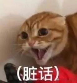  王心凌当年的偶像剧也成了毁三观神作