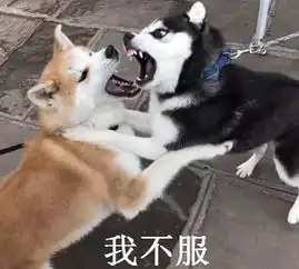  中国有嘻哈完整版下载中国有嘻哈表情包高清无水印极光下载站