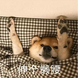  上下铺的这些利弊你都了解吗