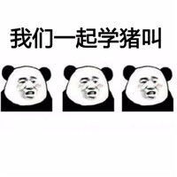  leetcode刷题day11