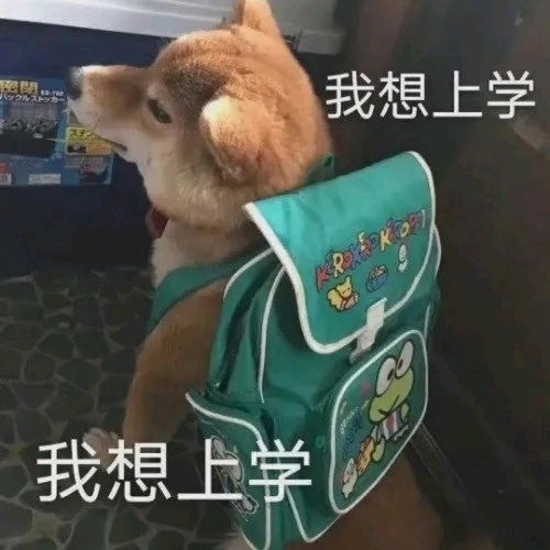  个人奋斗日记2123岁