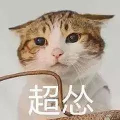  崩溃我妈说我微信头像涉黄,还要和我断绝关系......