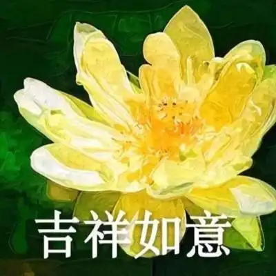 qq头像有字的荷花图片荷花头像图片大全集 qq头像有字的荷花图片荷花头像图片大全集