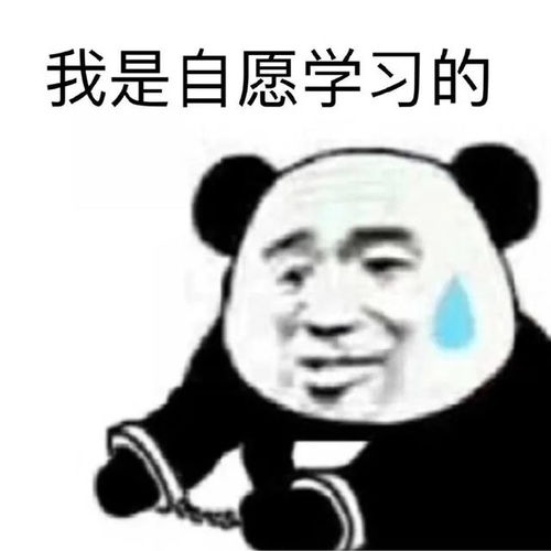  继考研头像后,考研人的专属表情包来啦