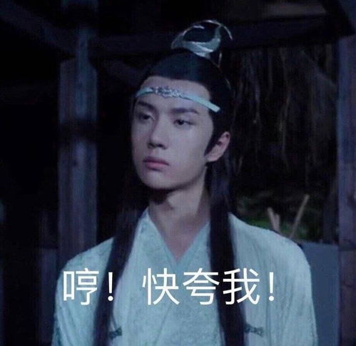  有什么有趣的陈情令表情包