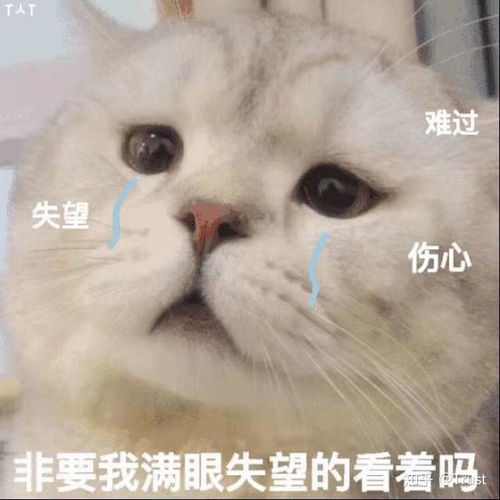  为什么ktv包间有厕所