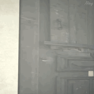 可爱的小奶龙表情包十八 可爱的小奶龙表情包十八