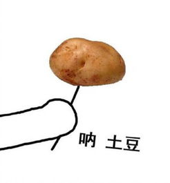 西伯利亚表情包土豆