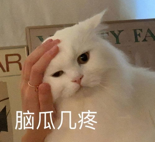 哼可爱表情包生气