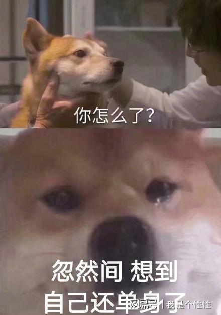 撩汉表情包 可爱魂淡