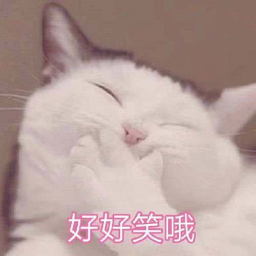  搞笑表情包拿图片可爱沙雕,欢聚一堂