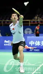 羽球亚锦赛男单次轮林丹20胜阿瓦德 羽球亚锦赛男单次轮林丹20胜阿瓦德