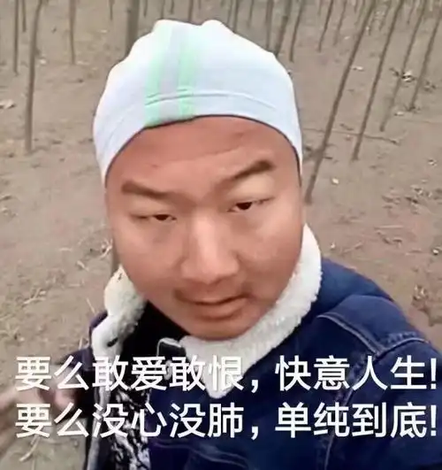  今日精选表情包