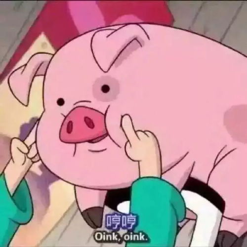  春节疑惑行为大赏