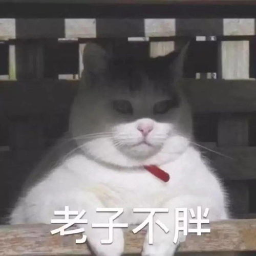  表情包好多喜欢都藏在欲言又止里