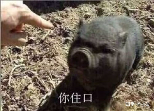  推荐一个扒谱神器