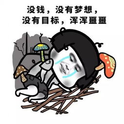  张一鸣对多闪没期待,社交嫡长子被打入冷宫